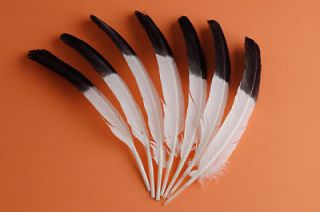 15 TURKEY QUILLS 10 12 Dyed Craft Feathers WHITE/BLACK ; Indian Dress