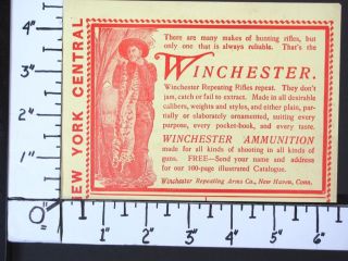 1901 WINCHESTER Cartridges Model 1895 Lever Hunting Rifle magazine Ad