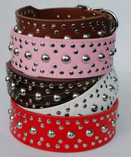 Style 2 wide Studded Leather Dog Collars for more breeds XL L M S XS
