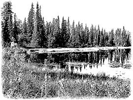 Alaska Trees Lake Scenery Scenery Landscape Unmounted Toad Hall Rubber
