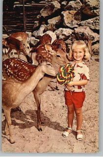 Postcard Littl​e Girl at Deer RanchSilver Springs,FL