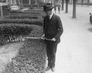 1921 photo Hedge trimmer Vintage Black & White Photograph c3