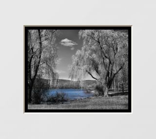 Black & White Willow Tree Blue Lake Interior Home Wall Art Matted