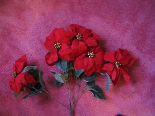 bush/5 large 8 inch red velvet like flowers/20 inch bush/very nice