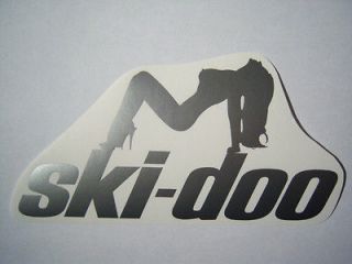 SNOWMOBILE SKIDOO ski doo DECAL atv quad TRAILER sticker