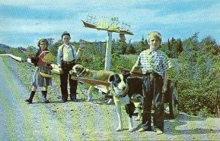 Gaspe Nord Quebec Canada Boats for Sale Dogs Vintage PC 1985