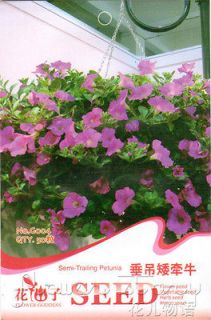 Trailing Petunia Seed ★ 50 Herb Seed Ornamental Appreciated Garden