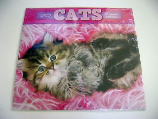 95 VERY CUTE CATS & KITTENS 16 MONTH PAPER WALL CALENDAR 12X11