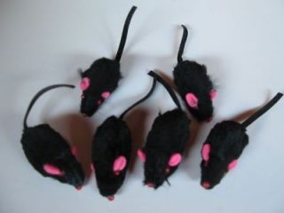 toy 50 Black Rattle Furry Mice Get 1Pack Rattle Ball/ Catnip Brand new