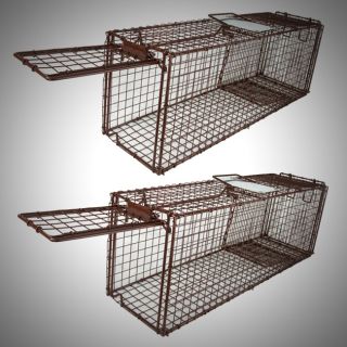 Trap Skunk Racoon Cat 31x9x11 Cage Rabbit Box Wildlife Humane