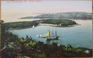 1910 Postcard   Bucks Harbor   South Brooksville, Maine