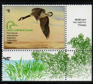 1993 Ducks Unlimited Canada Sponsor Waterfowl Duck Stamp of Year