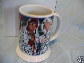 WWE WWF Wrestling Mug Stein II COOL II Danbury Mint 