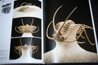 Fossil Ordovican Trilobite Book NEW, Russian,