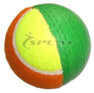Cricket Swingball bowling training practise ball swing ball Coaching x
