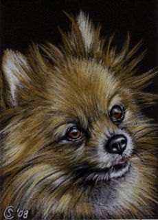 dog puppy chien pet pencil painting Sandrine Curtiss Art ACEO PRINT