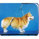 No Sit Haunch Holder Dog Grooming Restraint Sm Med Dogs