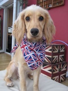 Flag SMALL to MEDIUM Dog Bandana Grooming Bandanna Clothes UK British