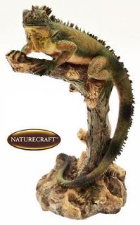 Iguana Reptile Ornament. Collectable Naturecraft Figurine / Statue