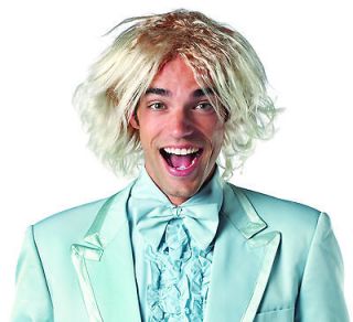 HARRY DUNNE wig Dumb and Dumber adult mens halloween costume