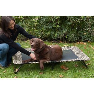 Elevated Pet Cot Dog Cat Bed Capacity 200 lbs XXL Sage or Tan Bone