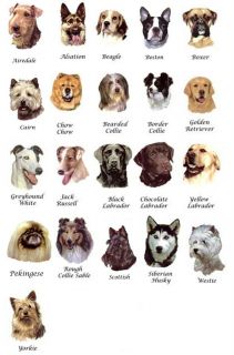 pcs Dog Select A Breed 7/8 to 1 (25mm) Waterslide Ceramic Decals