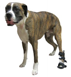 Walkin Wheels Rear Leg Splints for Dogs Size XLarge