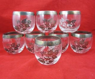 Briard Roly Poly Glasses Brushed Silver Rim Glass Barware Set