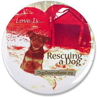 Love isRescuing a Dog 3.5 Button  Love isRescuing a Dog