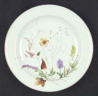 Rosenthal   Continental 3656 (White) Salad Plate, Fine China Dinnerware   Helena