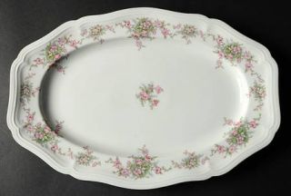 Johann Haviland Wild Rose (1/16 Gold Trim) 13 Oval Serving Platter, Fine China