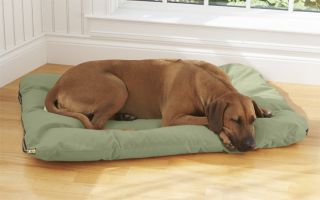 Toughchew Futon Dog Bed Cover / Dog Bed Cover   X large, Sage,
