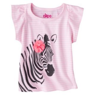 Circo Infant Toddler Girls Striped Zebra Tee   Primo Pink 12 M