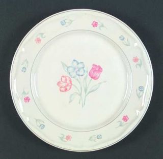 Sango Hampshare Dinner Plate, Fine China Dinnerware   Pink,Orange&Blue Flowers,G