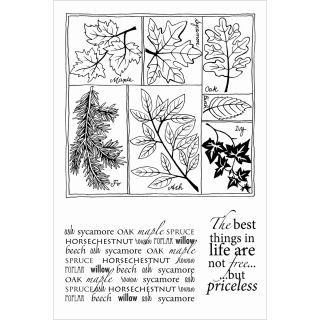 Woodware Clear Stamps 4x6 Sheet leaf Selection