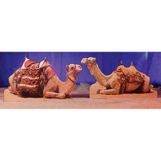 Camel Standee