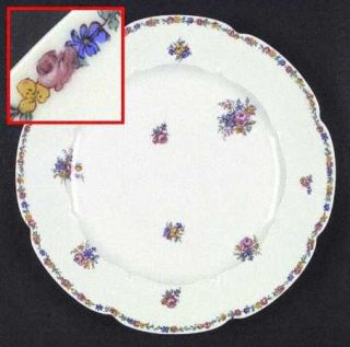 Haviland Olympia Dinner Plate, Fine China Dinnerware   H&Co,Schleiger 746a,Flora