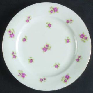 Victoria (Czech) Vit22 Bread & Butter Plate, Fine China Dinnerware   Small Pink
