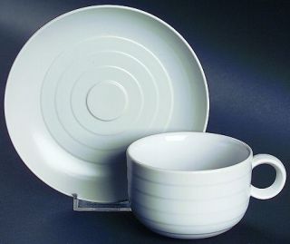 Hornsea Swan Lake Grey Flat Cup & Saucer Set, Fine China Dinnerware   Gray Embos