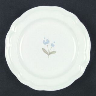 Pfaltzgraff Garland Salad Plate, Fine China Dinnerware   Blue & Pink Flowers