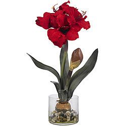 Amaryllis In Round Vase