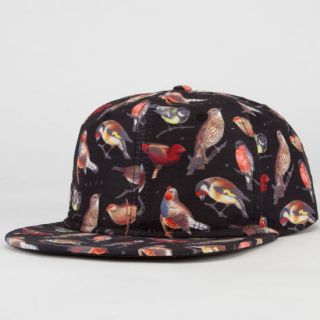 Song Birds Mens Snapback Hat Black One Size For Men 230595100