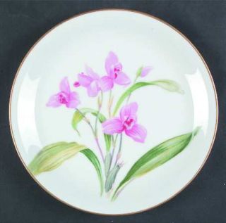 Noritake Ardine Salad Plate, Fine China Dinnerware   Pink Floral Center,Coupe,Go