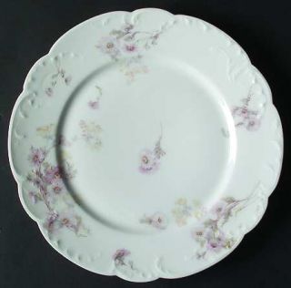 Haviland Schleiger 237c Dinner Plate, Fine China Dinnerware   H&Co, Blank 9,Pink