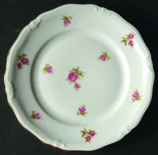 Winterling   Bavaria Rosette Bread & Butter Plate, Fine China Dinnerware   Scatt