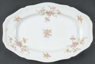 Johann Haviland Michele 14 Oval Serving Platter, Fine China Dinnerware   Pompad