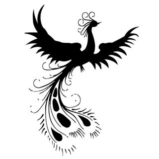 Peacock Bird Vinyl Wall Art Decal (BlackDimensions 22 inches wide x 35 inches long )