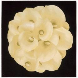 Nourison Hand Tufted Ivory Flower Art Wool Rug (4 X 4)
