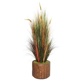 Laura Ashley 65 Tall Onion Grass With Cattails In 16 Fiberstone Planter
