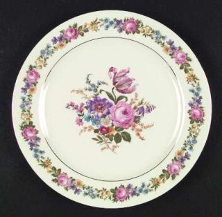 Altrohlau Alt70 Dinner Plate, Fine China Dinnerware   Multicolor Floral/Border &